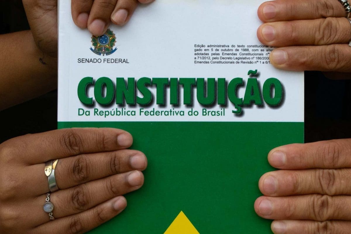 Os maiores artigos da constituição